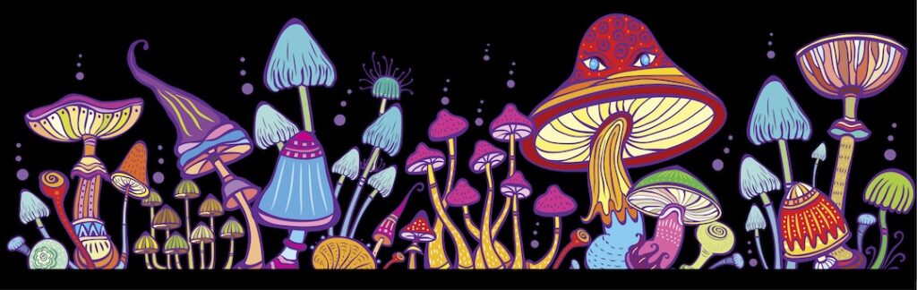 Magic mushroom graphic artwork