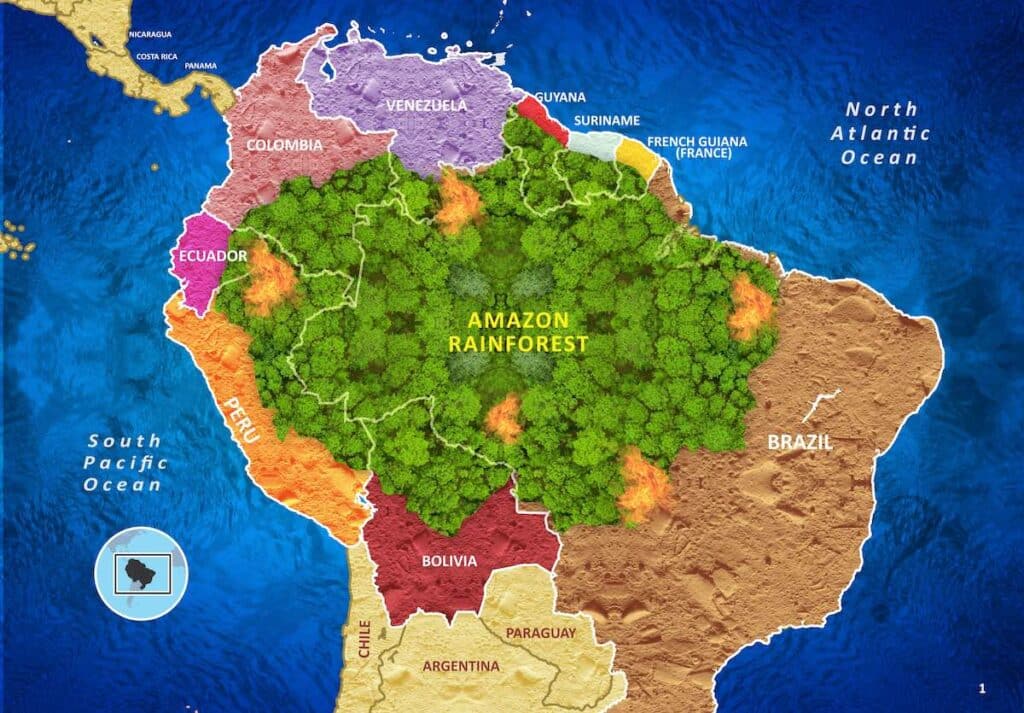 Amazon Rainforest Map With Bordered Countires, 3D Illustration