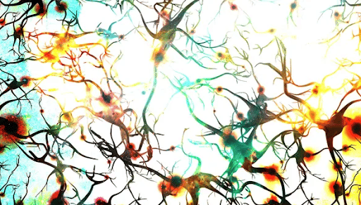 How Psychedelics Might Help Increase Neuroplasticity