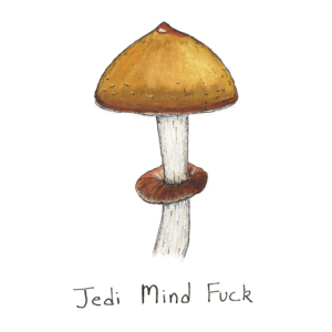 Jedi Mind Fuck Mushroom