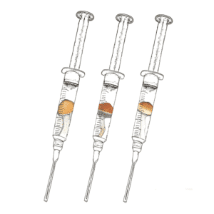 Watercolor depiction of beginner mix pack mushroom spores in syringes.