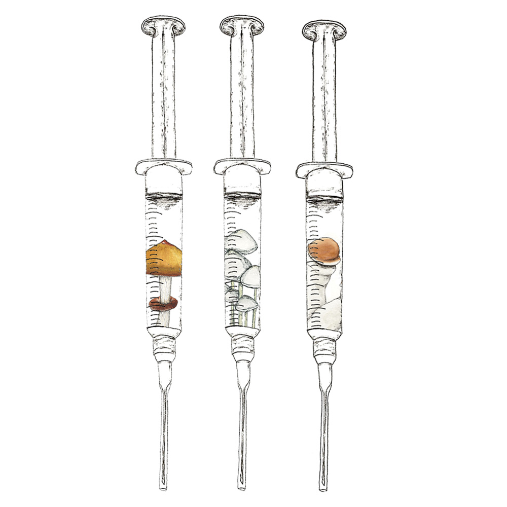 Watercolor depiction of 3 mushroom spore syringes