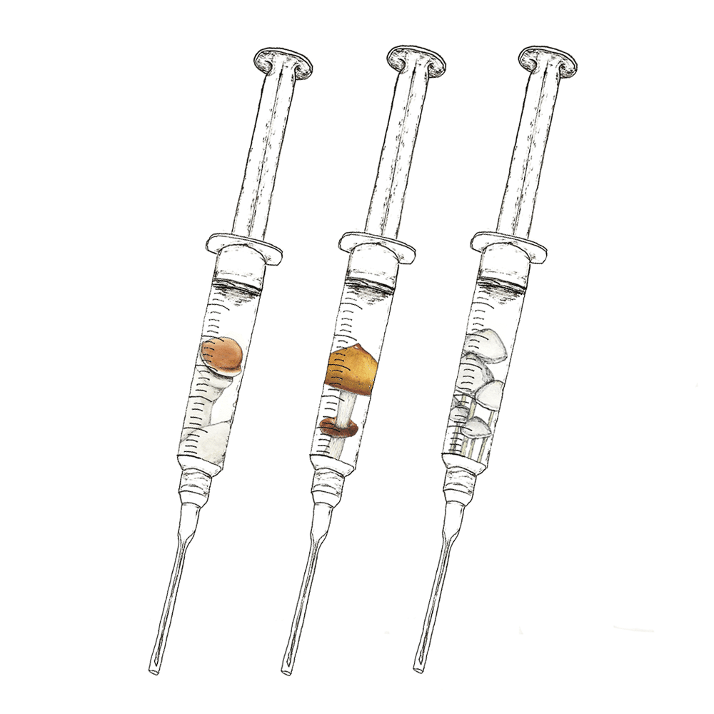 Watercolor depiction of Advanced mix pack mushroom spores in syringes.