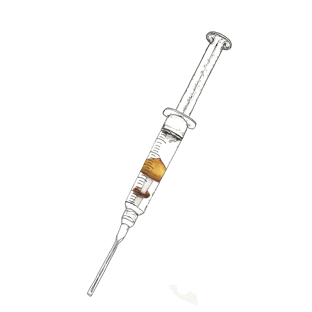 Watercolor depiction of Jedi Mind Fuck mushroom spores in syringes.