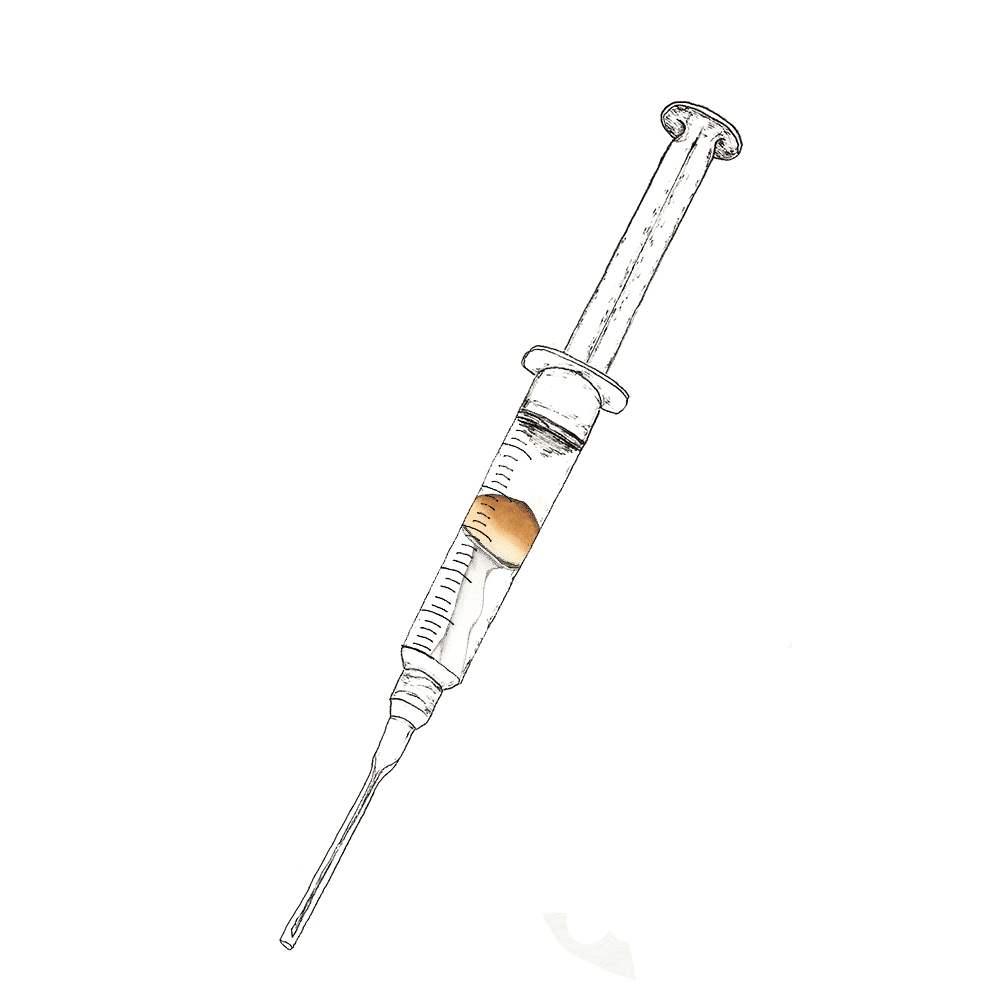 Watercolor depiction of Malabar mushroom spores in syringes.
