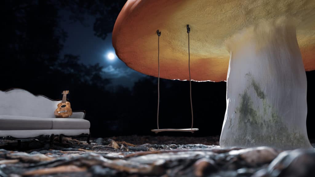 Magic Mushrooms & Musi