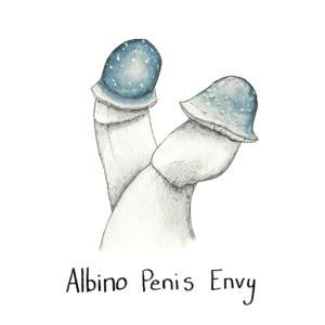 Albino Penis Envy mushrooms depicted using a watercolor illustration
