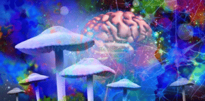 Saskatchewan: An Unsuspecting Hub for Early Psychedelic Research