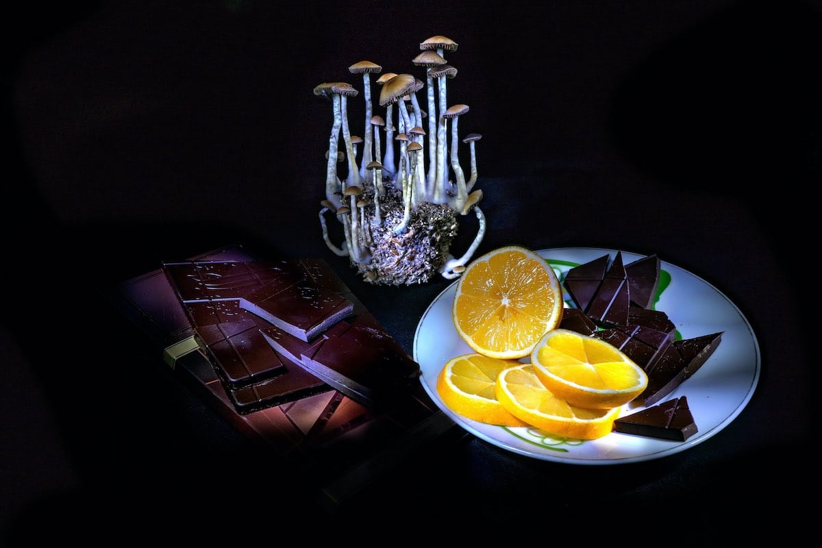 Dark chocolate, lemons, and magic mushrooms