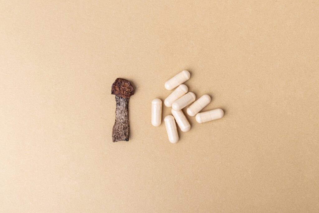 Dried mushroom tablets. Natural mushroom medication