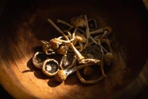 Dried hallucinogenic magic mushrooms in wooden bowl. Psychoactive Psilocybin Mushrooms. Dried shrooms on grunge plate