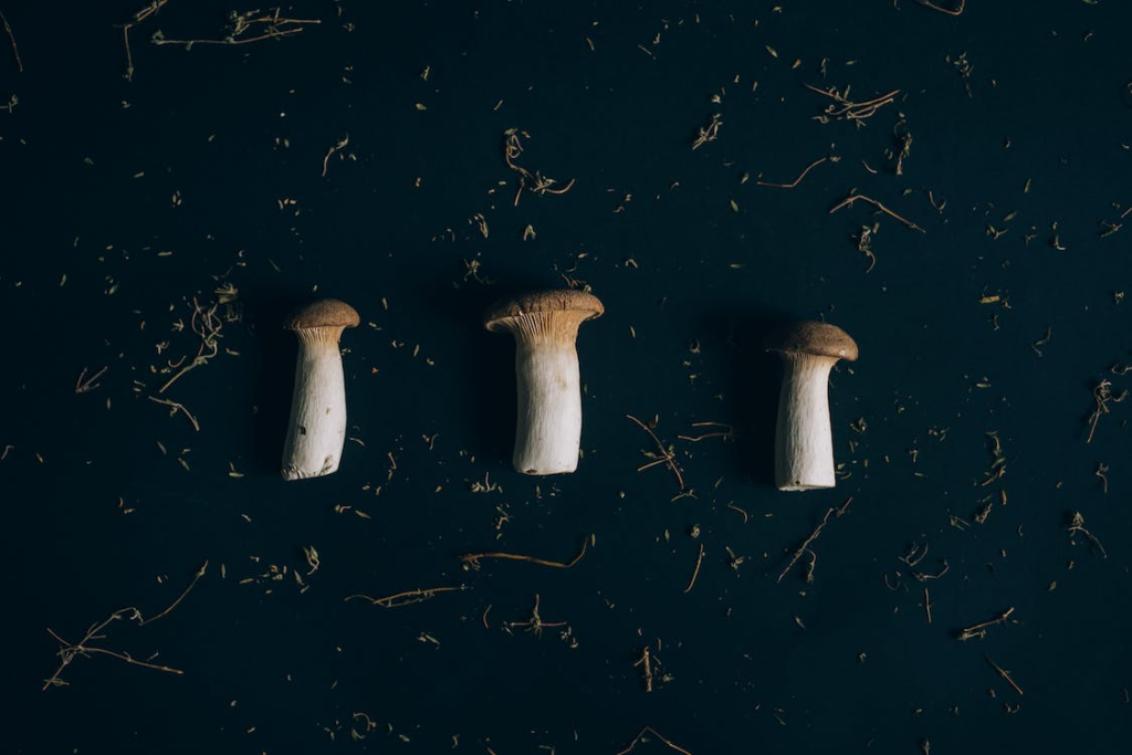 Mushrooms on table