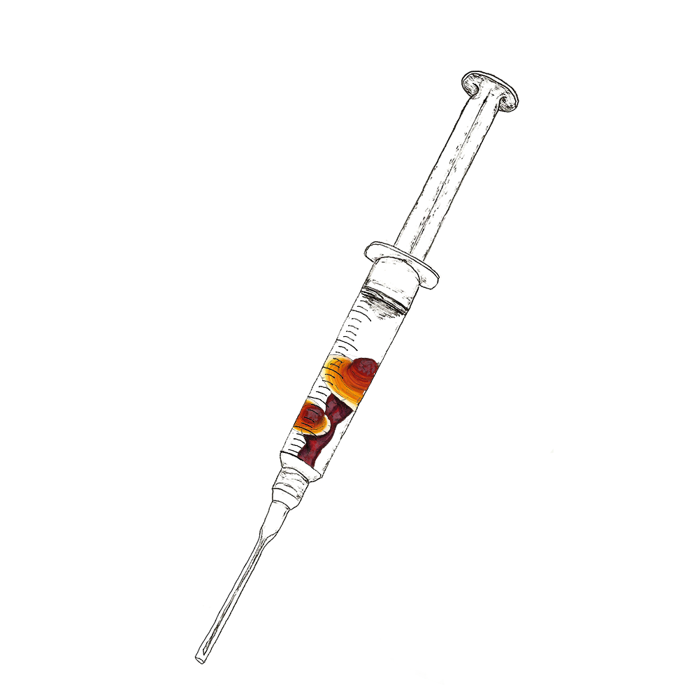 Abstract, watercolor depiction of a syringe containing Reishi mushroom culture