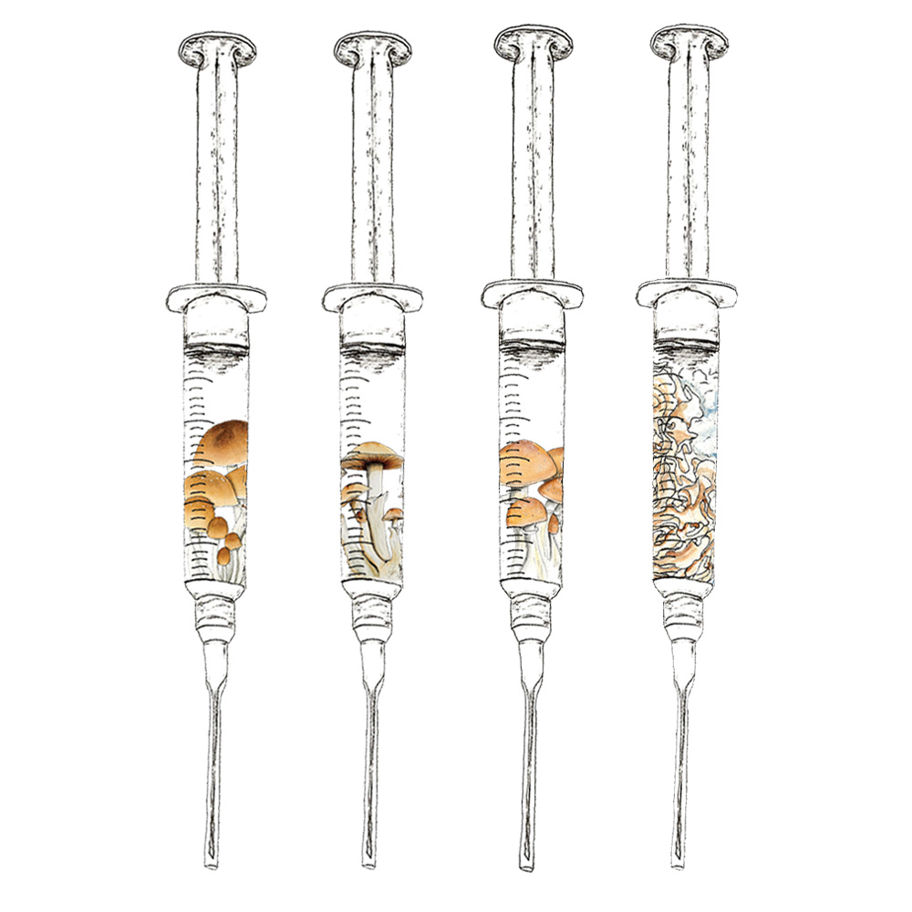 Watercolor depiction of four mushroom syringes